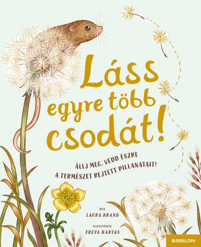 Láss egyre több csodát!