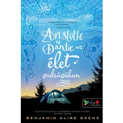   Aristotle és Dante az élet sodrásában (Aristotle és Dante 2.)