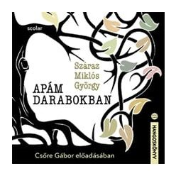 Apám darabokban - Csőre Gábor előadásában