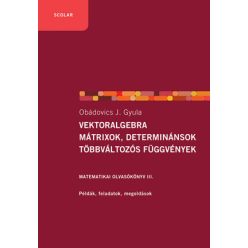   Vektoralgebra, mátrixok, determinánsok, többváltozós függvények