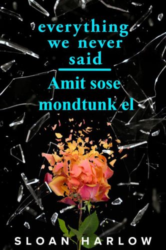 Everything We Never Said - Amit sose mondtunk el