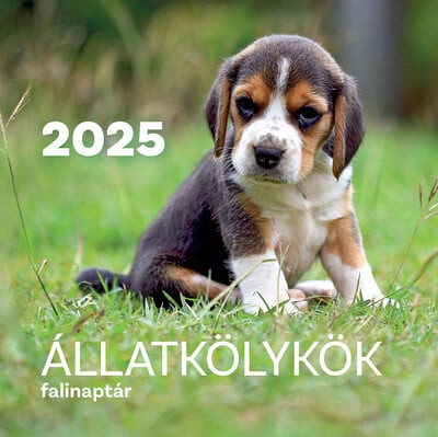 Állatkölykök
 falinaptár - 2025