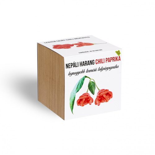 Nepáli harang chili paprika növényem fa kockában